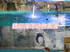 -威海华夏城景区