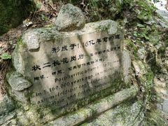 -王顺山国家森林公园