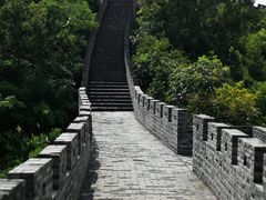 -黄贤森林公园