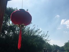 -溱湖国家湿地公园