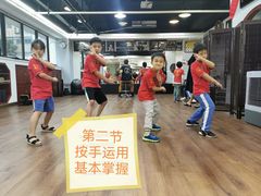 -温鉴良实用咏春拳