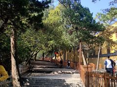 -灵岩山风景区