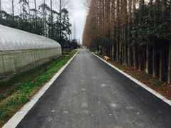 -前小桔亲子创意农场·草莓采摘·露营烧烤