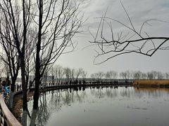 -绿堤公园