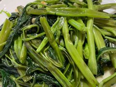 -锦粤宫·精致粤菜(深圳北站店)