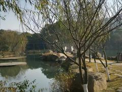 -白马涧龙池景区