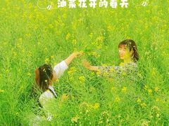 -光明小镇欢乐田园