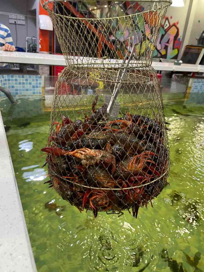 打分 这个季节钓的是小龙虾 钓了一个小时,两个人钓了快六斤,还钓到了