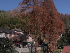 -莫干山风景区