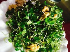 -万柳阁小馆·花园餐厅(龙潭湖店)