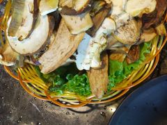 -菌海森林·非遗野生菌火锅(西山区滇池路摩根道店)