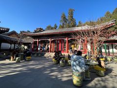 -宫事颐庭·老佛爷贵寿下午茶(颐和园店)