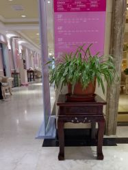 -北京俪婴妇产医院(朝阳大悦城店)