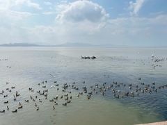 -深圳湾公园(南山区)
