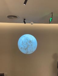 点击看大图 -Lily纤美·科技减脂中心