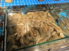 -即墨印象