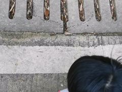 -广州市流溪河国家森林公园