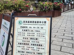 -西双版纳原始森林公园