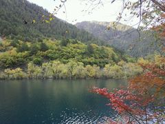 -九寨沟-树正沟