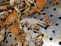 -兴芮温泉度假区