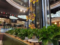 大堂-龙泉人椰子鸡·糟粕醋·地标海南菜(龙昆南店)
