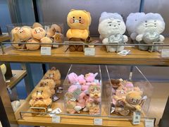 -KAKAO FRIENDS(弘大店)