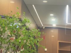 -天使口腔门诊部(上海店)