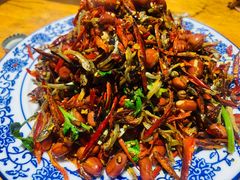 -东北小板凳地摊烧烤(泰来街店)