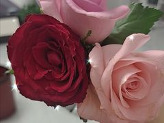 -南通洲际绿博园