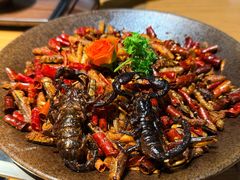 -一朵菌·野生菌探索家火锅(南亚店)