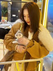 点击看大图 -DL HOPE明星造型