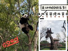 -扬州市茱萸湾风景区