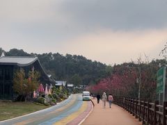 -婺源月亮湾