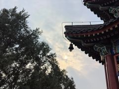 -红螺寺