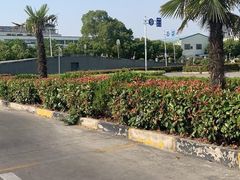 -无忧学车·华茂基地(宝山校区)