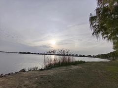 -漕湖湿地公园