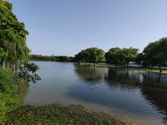 -东华大学(松江校区)