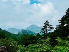 -黄山风景区