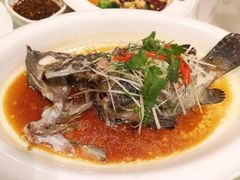 清蒸老虎斑-海皇酒家(钰海万国汇购物广场店)