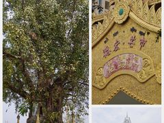 -德宏芒市国际机场