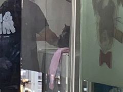 -酷狗靓猫宠物·洗护·美容·寄养(航北路店)