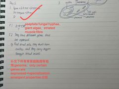 -JT PREP国际学科课程·IB·AP·Alevel(陆家嘴校区)