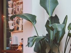 -Line 咖啡(石厦花园店)