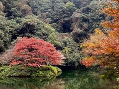 -六和塔文化公园
