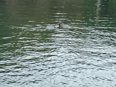 -贵阳市花溪国家城市湿地公园