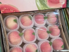 -岳各庄批发市场(西四环中路店)