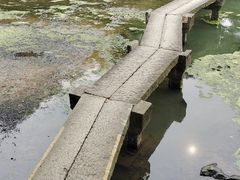 -兰亭风景区