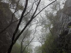 -塔云山
