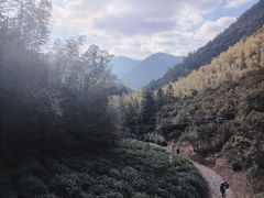 -仙霞关景区