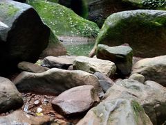 -赤水丹霞旅游区·佛光岩